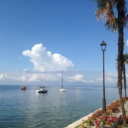 Alla Palma *